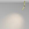 MAYTONI Stropní svítidlo Focus T 6W 36d C142CL-6W3K-BS