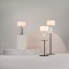 MAYTONI Stolní lampa Muse MOD304TL-01CH