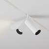 MAYTONI svítidlo pro kolejnicový systém Focus LED Magnetic track system Exility 3000K 12W 24d TR032-2-12W3K-S-W