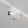 MAYTONI svítidlo pro kolejnicový systém Focus LED Magnetic track system Radity 3000K 5W 36d TR103-1-5W3K-M-W