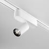MAYTONI svítidlo pro kolejnicový systém Focus LED Magnetic track system Radity 4000K 5W 36d TR103-1-5W4K-M-W