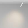MAYTONI Svítidlo do kolejnice Focus T Exility 3000K 6W 36d TR141-2-6W3K-M-W