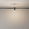 MAYTONI Svítidlo do kolejnice Skim Flarity 3000K 3W 110d TR145-1-3W3K-W-B-DE