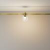 MAYTONI Svítidlo do kolejnice Bubble Flarity 2700K 3W 120d TR148-1-3W2.7K-BS-DE