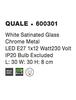 NOVA LUCE stropní svítidlo QUALE matné bílé sklo chromovaný kov E27 1x12W 600301