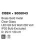 NOVA LUCE závěsné svítidlo COEN mosazný zlatý kov čiré sklo G9 3x5W 230V IP20 bez žárovky 9006043