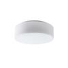 OSMONT ERI53535 ERIS 2 stropní/nástěnné skleněné svítidlo bílá IP43 25W E27