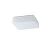 OSMONT TIL52120 TILIA 1A stropní/nástěnné plastové svítidlo IP44 25W E27