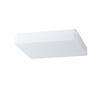 OSMONT TIL53927 TILIA 2 stropní/nástěnné plastové svítidlo IP54 4000 K 34W LED DALI