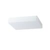 OSMONT TIL67764 TILIA 2A stropní/nástěnné plastové svítidlo IP54 4000 K 17W LED nouzové kombinované 3 h