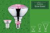 PAULMANN LED Grow Green reflektor lampa pro rostliny 6,5 W E27 na růst rostlin 287.37