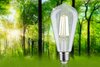 PAULMANN Eco-Line Filament 230V LED žárovka ST64 E27 4W 3000K čirá