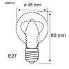 PAULMANN Eco-Line Filament 230V LED kapka E27 80 mm 2,5W 4000K čirá