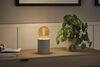 PAULMANN Rustic Shine Standard 230V LED Globe E27 Filament S-Form 4,2W 1800K stmívatelné zlatá