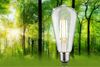 PAULMANN Eco-Line Filament 230V LED žárovka ST64 E27 4,3W 3000K stmívatelné čirá