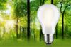 PAULMANN Eco-Line Filament 230V LED žárovka E27 2,5W 3000K stmívatelné mat