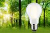 PAULMANN Eco-Line Filament 230V LED žárovka E27 4,3W 3000K stmívatelné mat