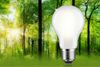 PAULMANN Eco-Line Filament 230V LED žárovka E27 8,2W 3000K stmívatelné mat