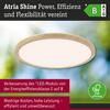 PAULMANN LED Panel Atria Shine IP44 kruhové 298mm 14,8W 3000 - 6500K design dřevo