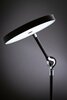 PAULMANN LED stolní lampa na psací stůl Numis CCT 11W černá