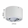 Paulmann LED stropní svítidlo Argun 1-ramenné 4,8W bílá mat/hliník kartáčovaný 797.08 P 79708