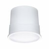 PAULMANN LED Modul vestavné svítidlo Smart Home Zigbee Base Coin kruhové 50mm Coin 4,9W 230V stmívatelné 3000K satén 924.69