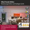 PAULMANN URail závěs Smart Home Zigbee 3.0 Hildor RGBW 10W RGBW+ stmívatelné 230V matný chrom