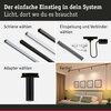 PAULMANN URail univerzální adaptér pro závěs max. 50W 230V černá mat