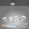 PAUL NEUHAUS LED závěsné svítidlo stříbrná kruhové bezdotykové ovládání stmívatelné CCT 2700-5000K PN 2507-55