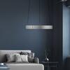 PAUL NEUHAUS LED závěsné svítidlo PURE E-Clipse hliník elektrické 2700-5000K PN 2560-95