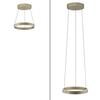 PAUL NEUHAUS LED závěsné svítidlo PURE E-Clipse elektrické 2700-5000K bronz 2560-97