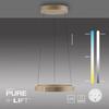 PAUL NEUHAUS LED závěsné svítidlo PURE E-Clipse elektrické 2700-5000K bronz 2560-97