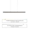 PAUL NEUHAUS LED závěsné svítidlo, antracit, stmívatelné, do interiéru, IP20,CCT 2700-5000K