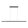 PAUL NEUHAUS LED závěsné svítidlo s Comfort Lift, antracit, nastavitelná výška, roztahovací 2700-5000K