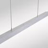 PAUL NEUHAUS LED závěsné svítidlo s Comfort Lift, hliník, nastavitelná výška, roztahovací 2700-5000K