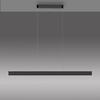 PAUL NEUHAUS LED závěsné svítidlo Q-STRETTO, černá, ZigBee 2700-5000K
