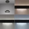 PAUL NEUHAUS LED závěsné svítidlo Q-STRETTO, černá, ZigBee 2200-5000K