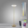 PAUL NEUHAUS Q ETIENNE LED stojací svítidlo Smart Home matná mosaz stmívatelné CCT ZigBee 2700-5000K PN 271-60