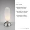 PAUL NEUHAUS LED stolní lampa stříbrná opálové sklo 3 krokové stmívání dotykovým stmívačem 3000K PN 4021-55