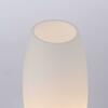 PAUL NEUHAUS LED stolní lampa stříbrná opálové sklo 3 krokové stmívání dotykovým stmívačem 3000K PN 4021-55