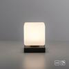 PAUL NEUHAUS LED stolní lampa, antracit, tvar kostky, dotykový stmívač, nadčasový design 3000K