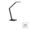 PAUL NEUHAUS LED stolní lampa SAMSKY, šedá, stmívatelné, nastavitelná výška, paměťová funkce 2700-5000K
