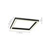 PAUL NEUHAUS PURE LINES LED stropní svítidlo antracit 55x55cm CCT stmívatelné 2700-5000K