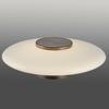 PAUL NEUHAUS LED nástěnné a stropní svítidlo PURE Vitrum tmavá hnědá 2700K PN 6082-34