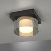 PAUL NEUHAUS LED stropní svítidlo 1 ramenné stmívatelné vypínačem SimplyDim 3000K PN 6162-18