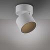 PAUL NEUHAUS LED stropní svítidlo PURE Cup bílá 2700K