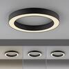 PAUL NEUHAUS LED stropní svítidlo PURE Lines kulaté, grafit 2200-5000K