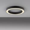 PAUL NEUHAUS LED stropní svítidlo PURE Lines kulaté, grafit 2200-5000K