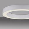 PAUL NEUHAUS LED stropní svítidlo PURE Lines kulaté bílá, stmívatelné 2200-5000K