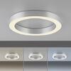 PAUL NEUHAUS LED stropní svítidlo PURE Lines kulaté, metalická šedá (hliník) 2200-5000K